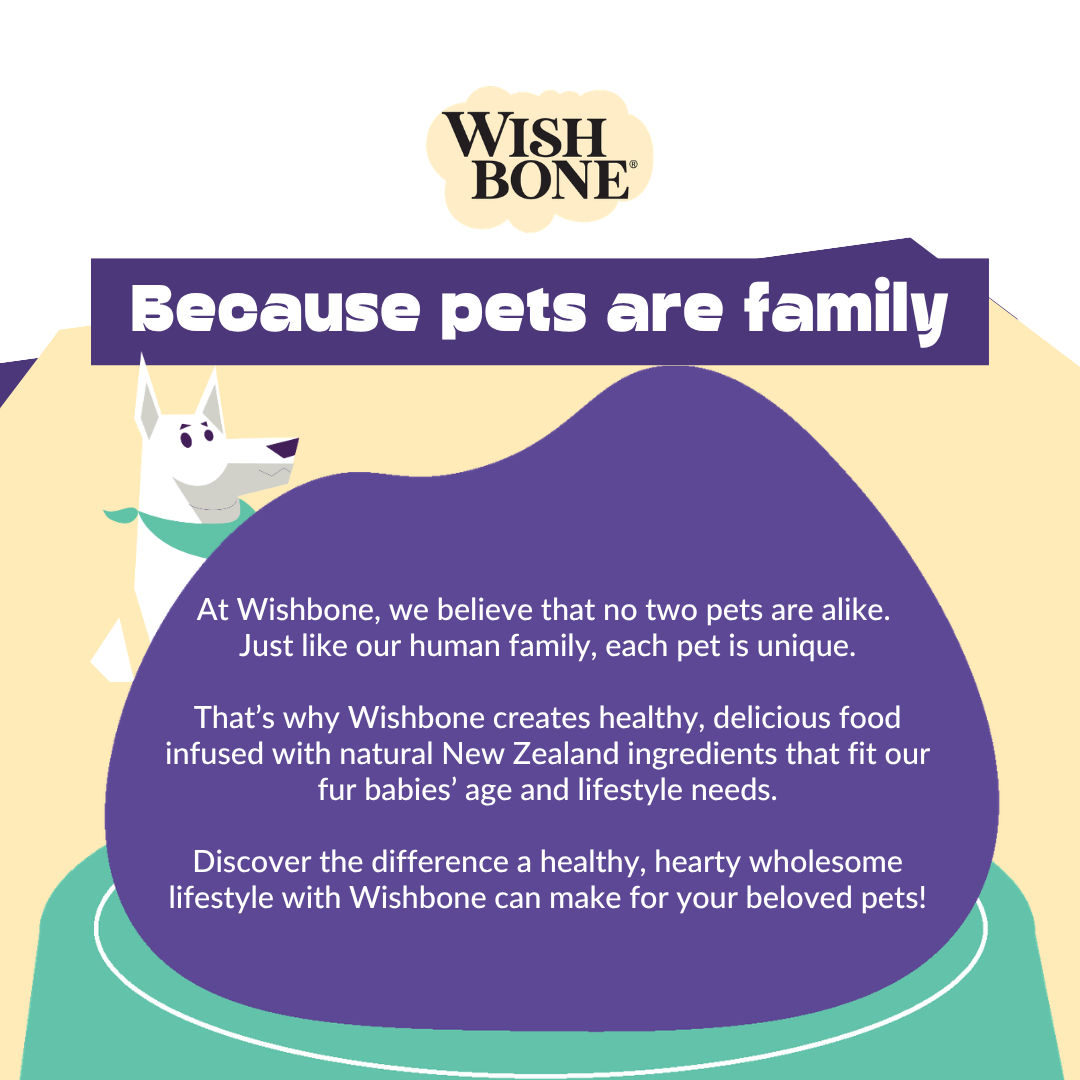 Wishbone pet food advertisement with a purple text box and cartoon dog on a yellow background