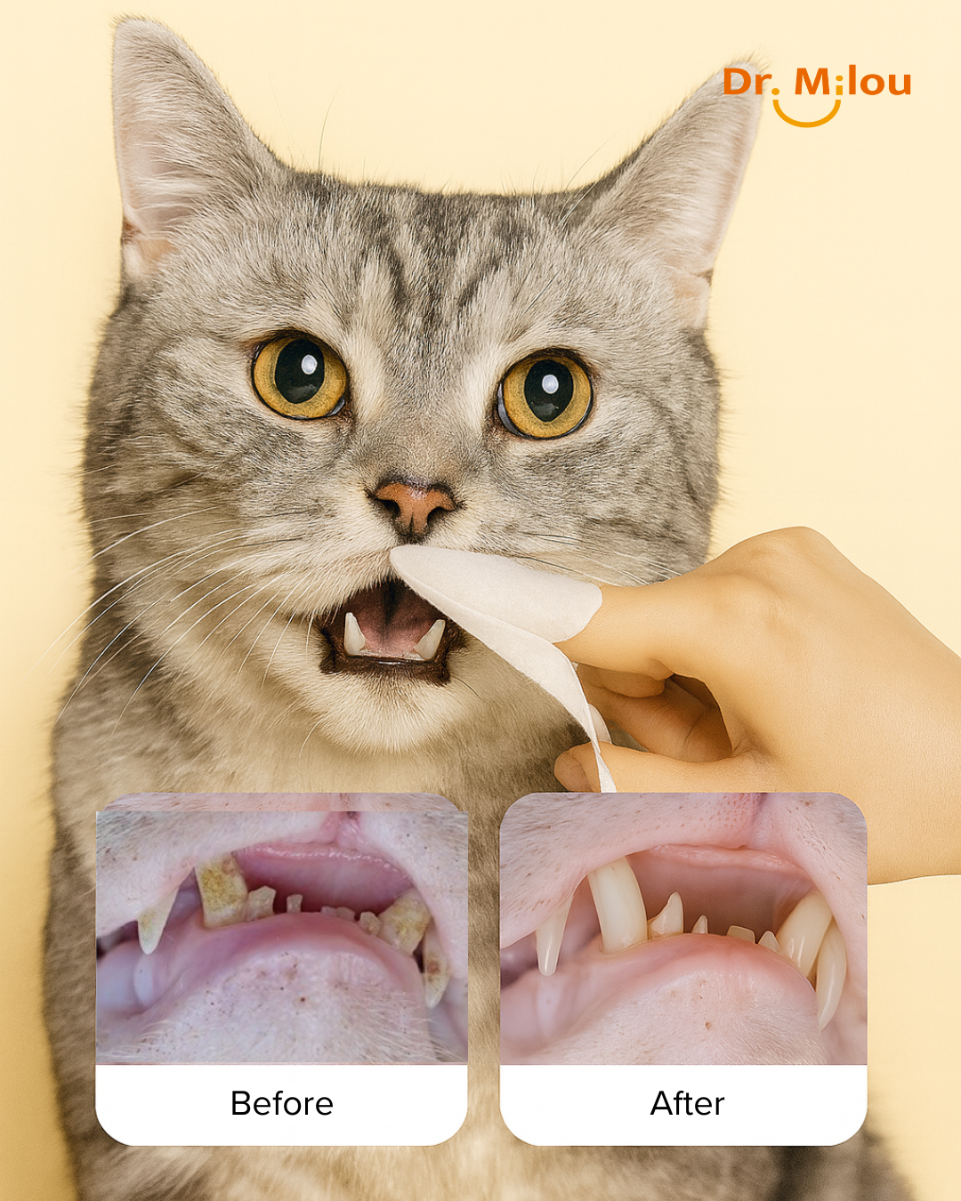Cat with a hand holding dental floss, showing before and after dental health improvements.