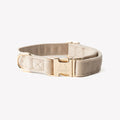 Beige dog collar with gold hardware on a white background