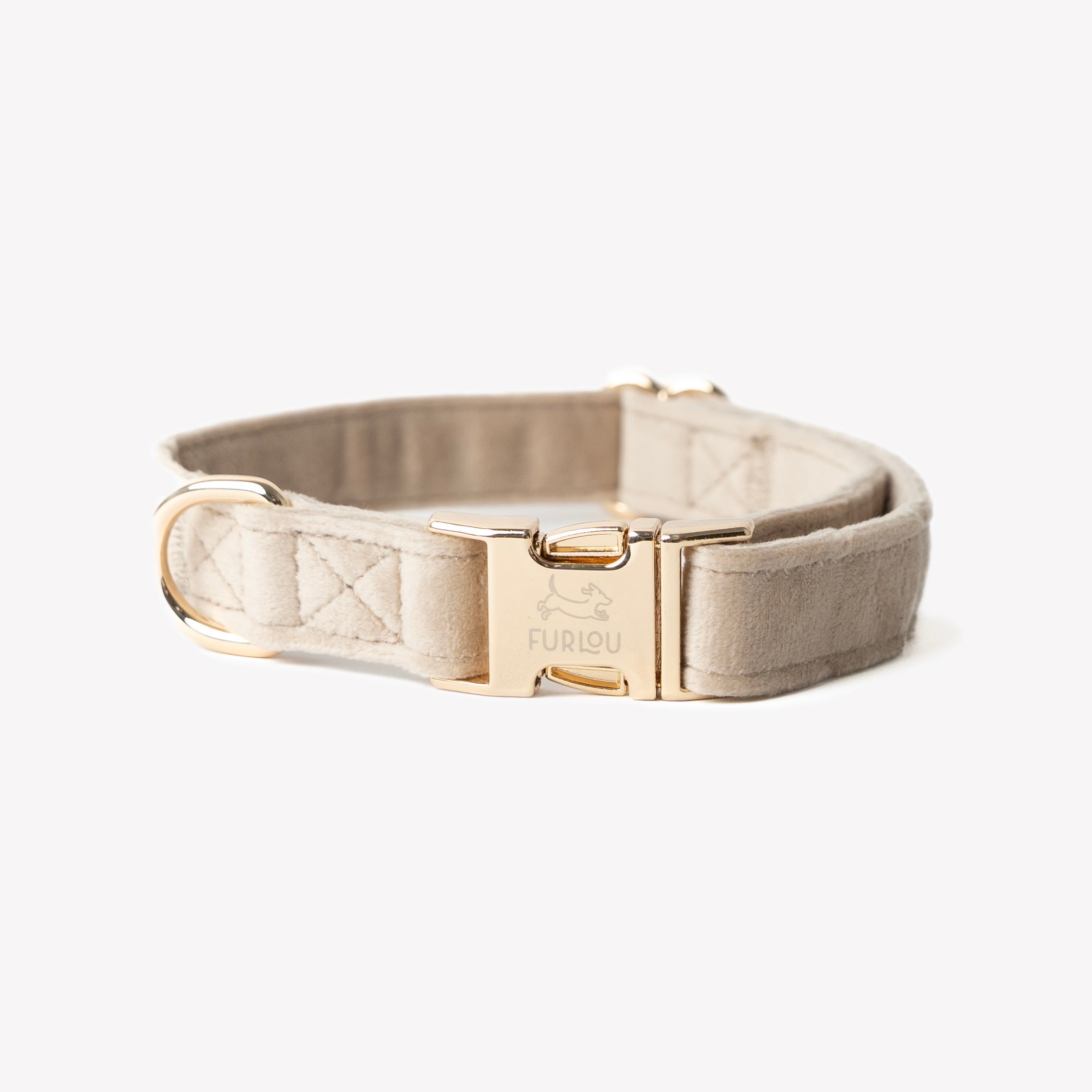 Beige dog collar with gold hardware on a white background