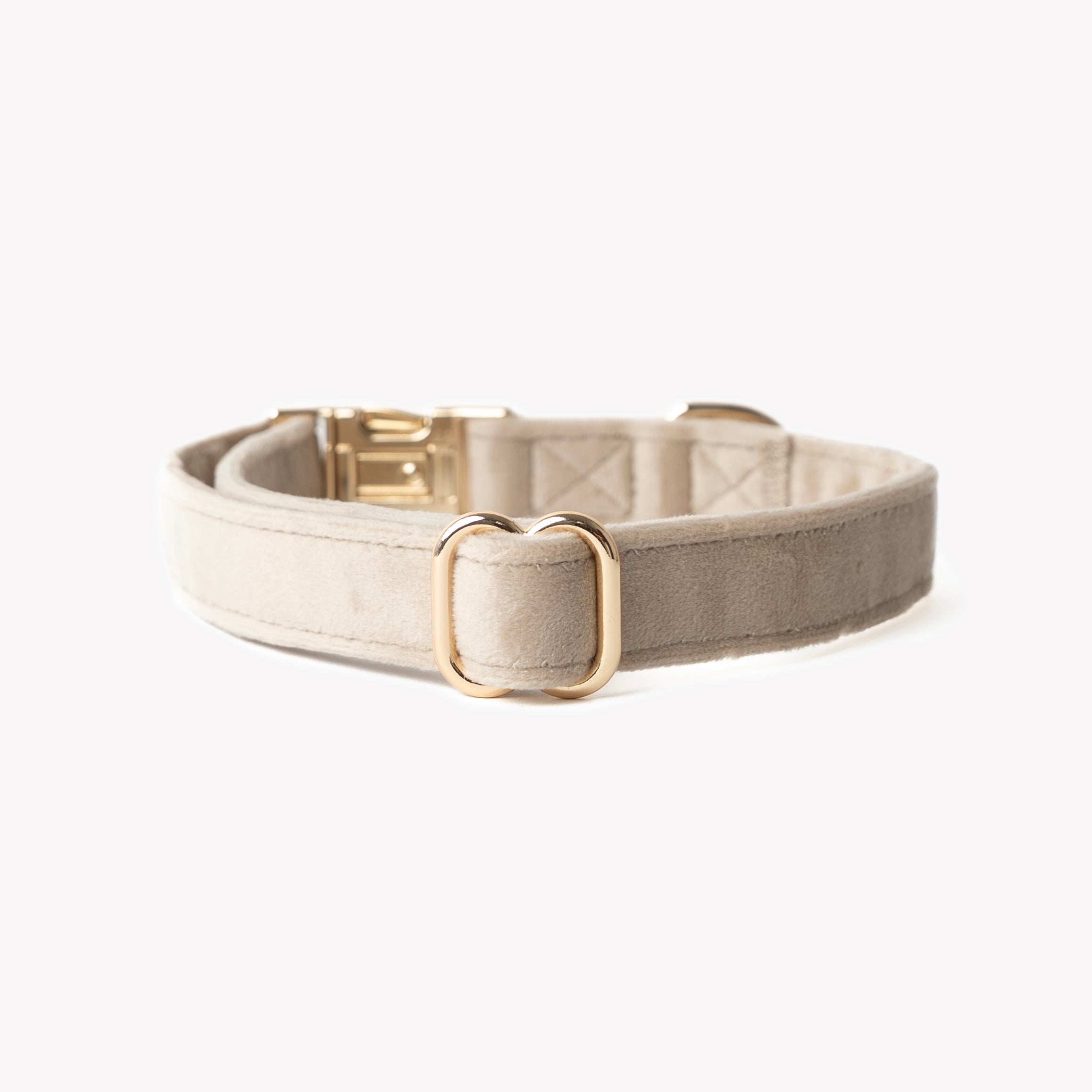 Beige dog collar with gold buckle on a white background