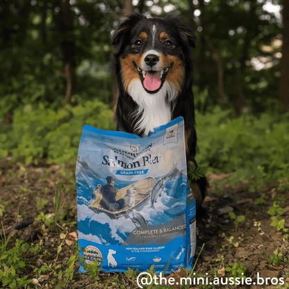 Salmon Bleu Dry Dog Food package, product photo 10 of 16