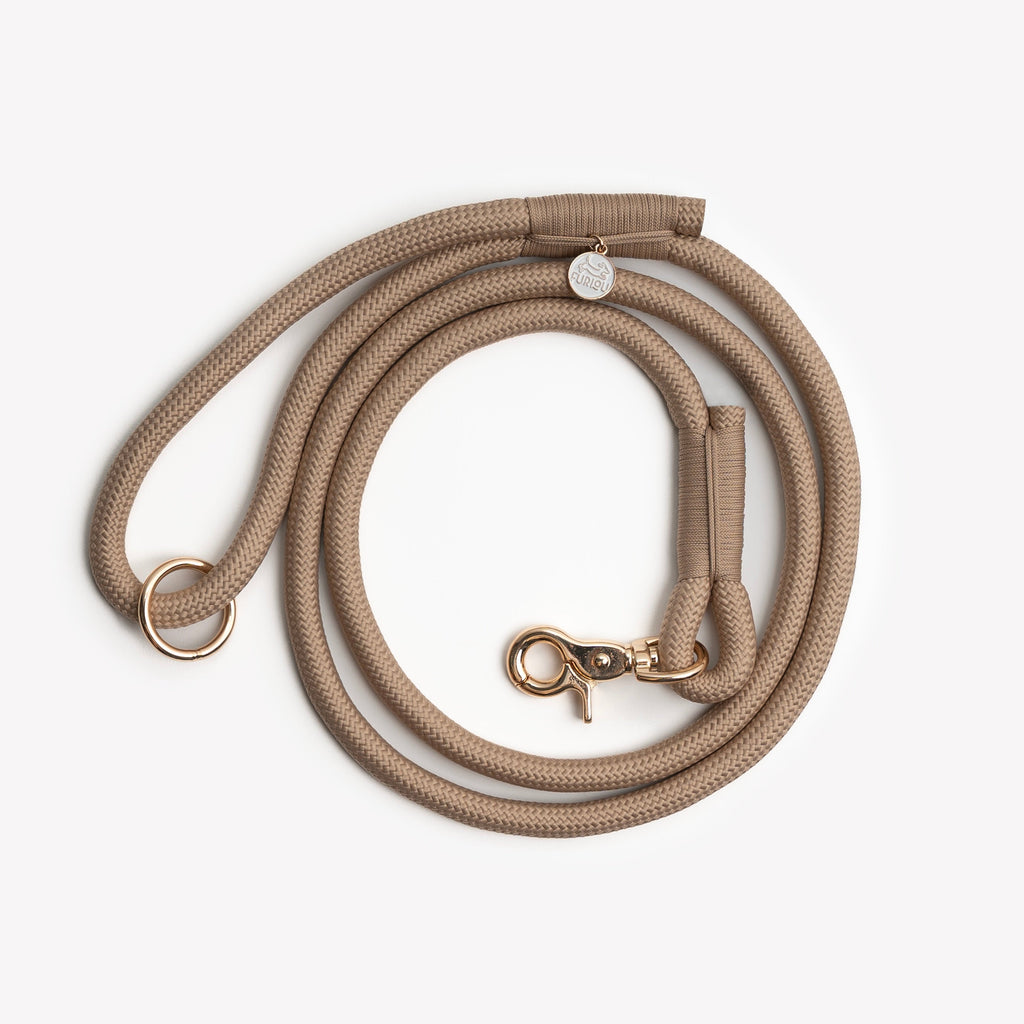 Beige dog leash with gold hardware on a white background