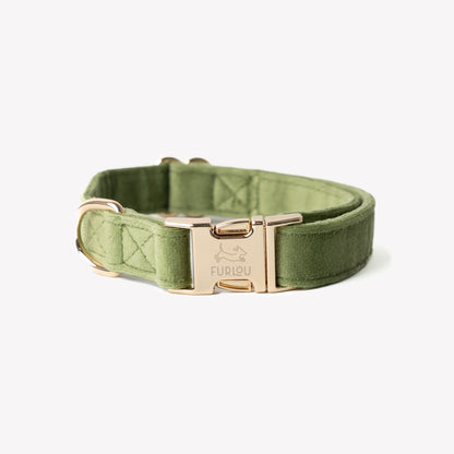 FURLOU Green Velvet Dog Collar - plush velvet with gold hardware