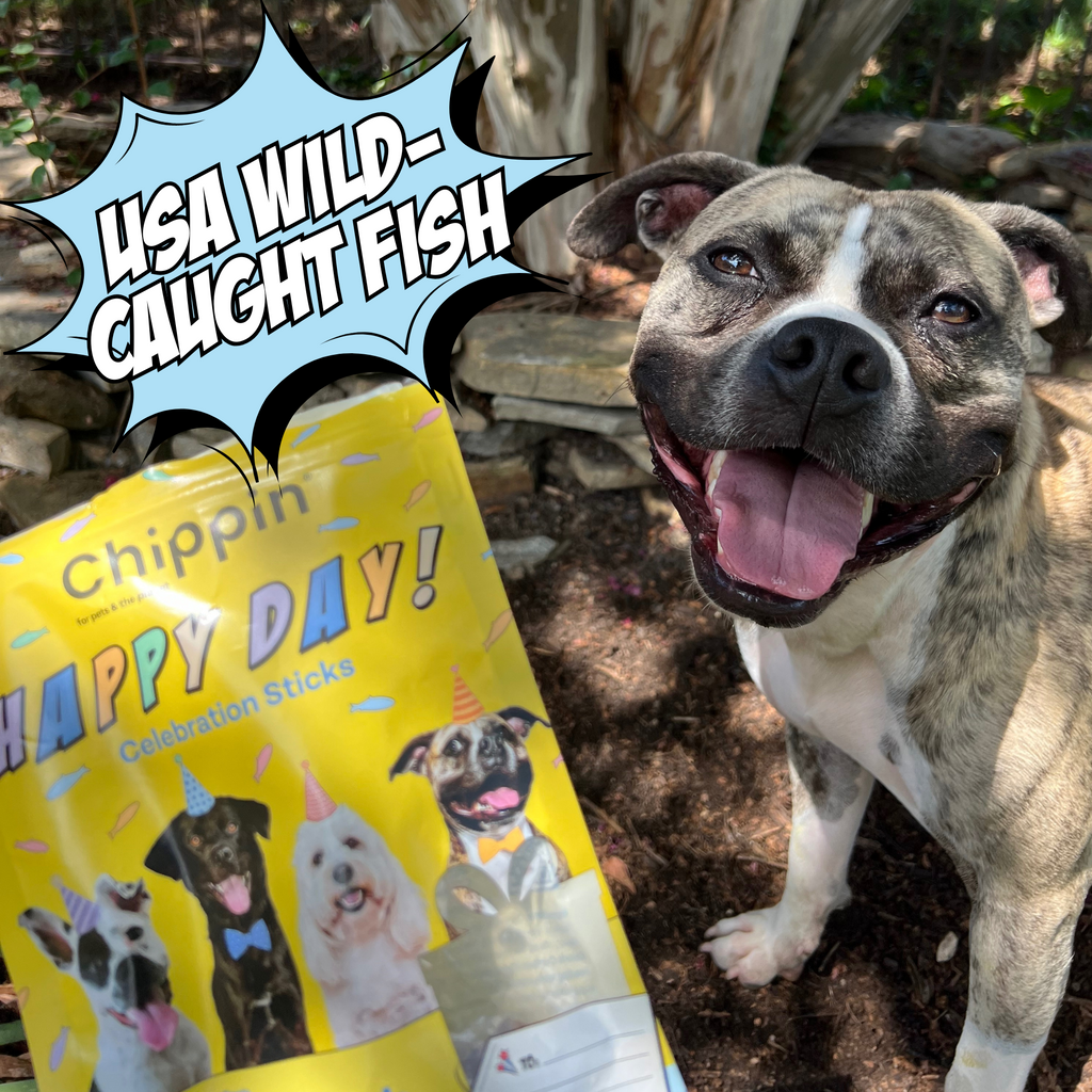 Dog with a 'Happy Day!' treat bag and text overlay in an outdoor setting