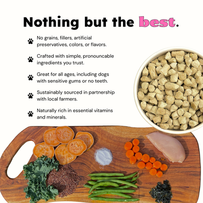 Dog food bowl with text about product benefits on a white background