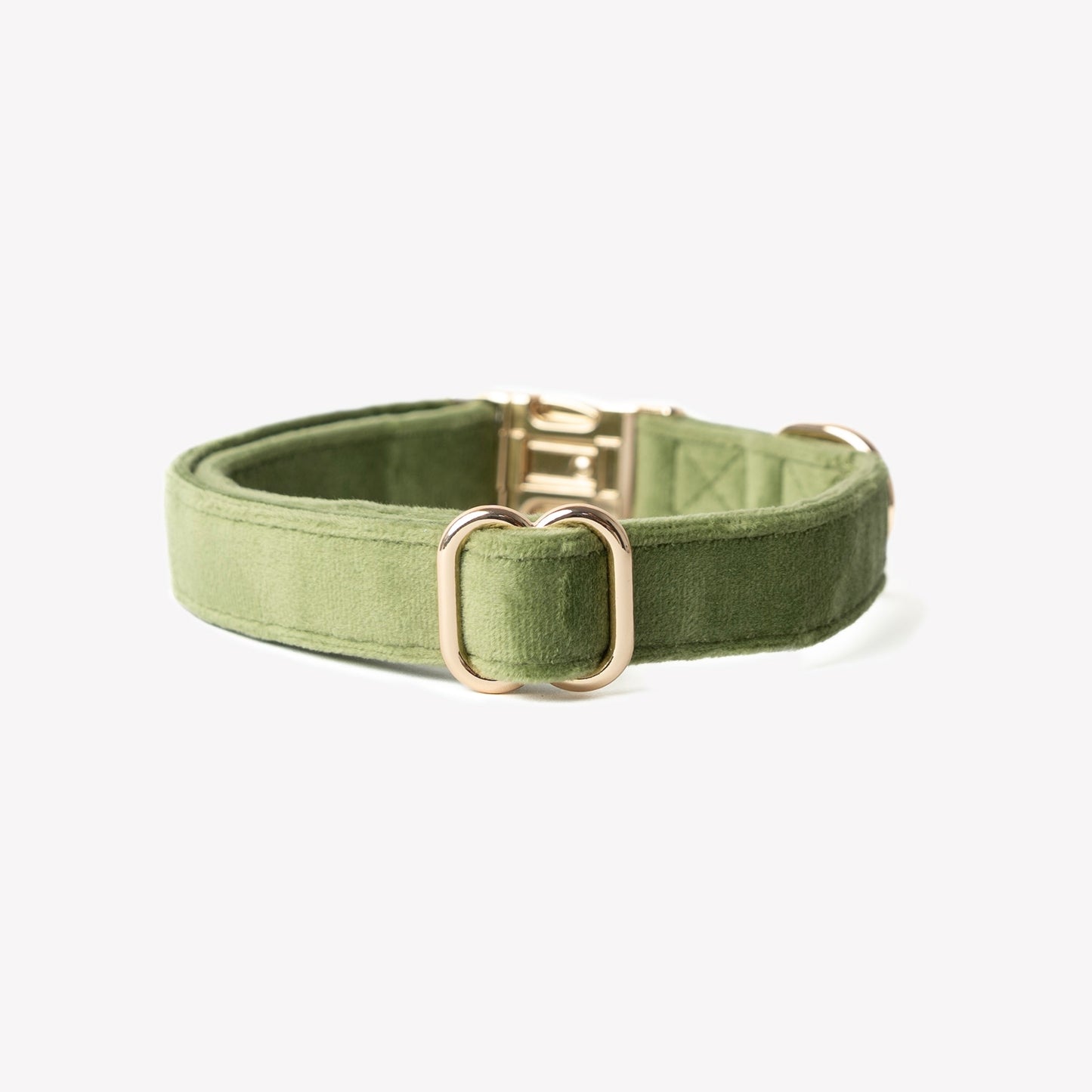 FURLOU Green Velvet Dog Collar worn by a dog, view 2