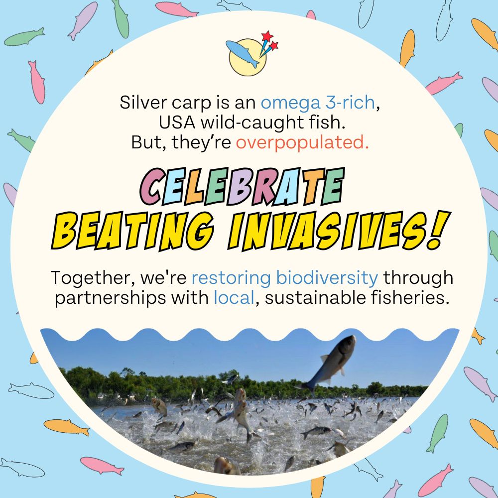 silver carp is an omega 3-rich.