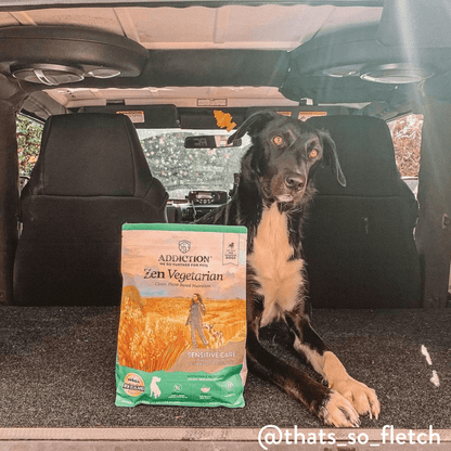Dog sitting in a car with a bag of Addiction Zen Vegetarian dog food on the floor.