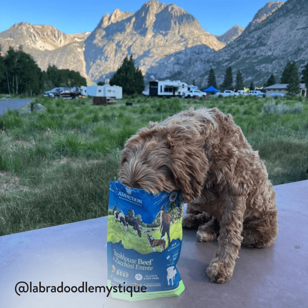 Steakhouse Beef & Zucchini Air-Dried Dog Food package, product photo 8 of 13