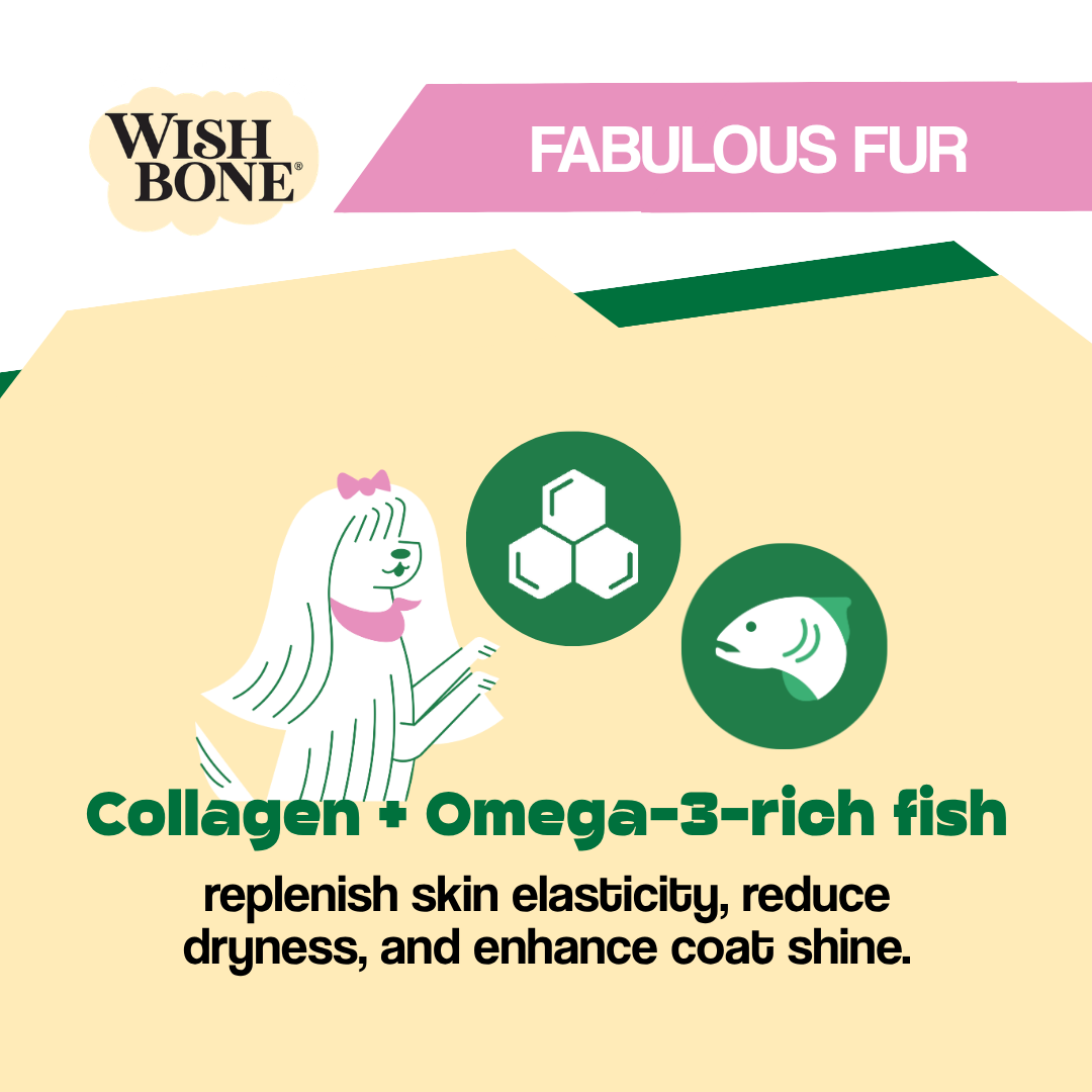 Wish Bone product packaging with text about collagen, Omega-3-rich fish, and benefits for fur.