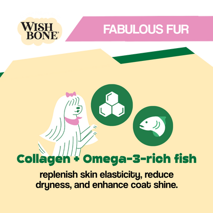 Wish Bone product packaging with text about collagen, Omega-3-rich fish, and benefits for fur.