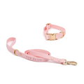 Pink dog collar and leash set with gold hardware on a white background