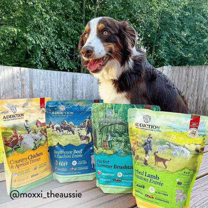 Perfect Summer Brushtail Air-Dried Dog Food package, product photo 8 of 13
