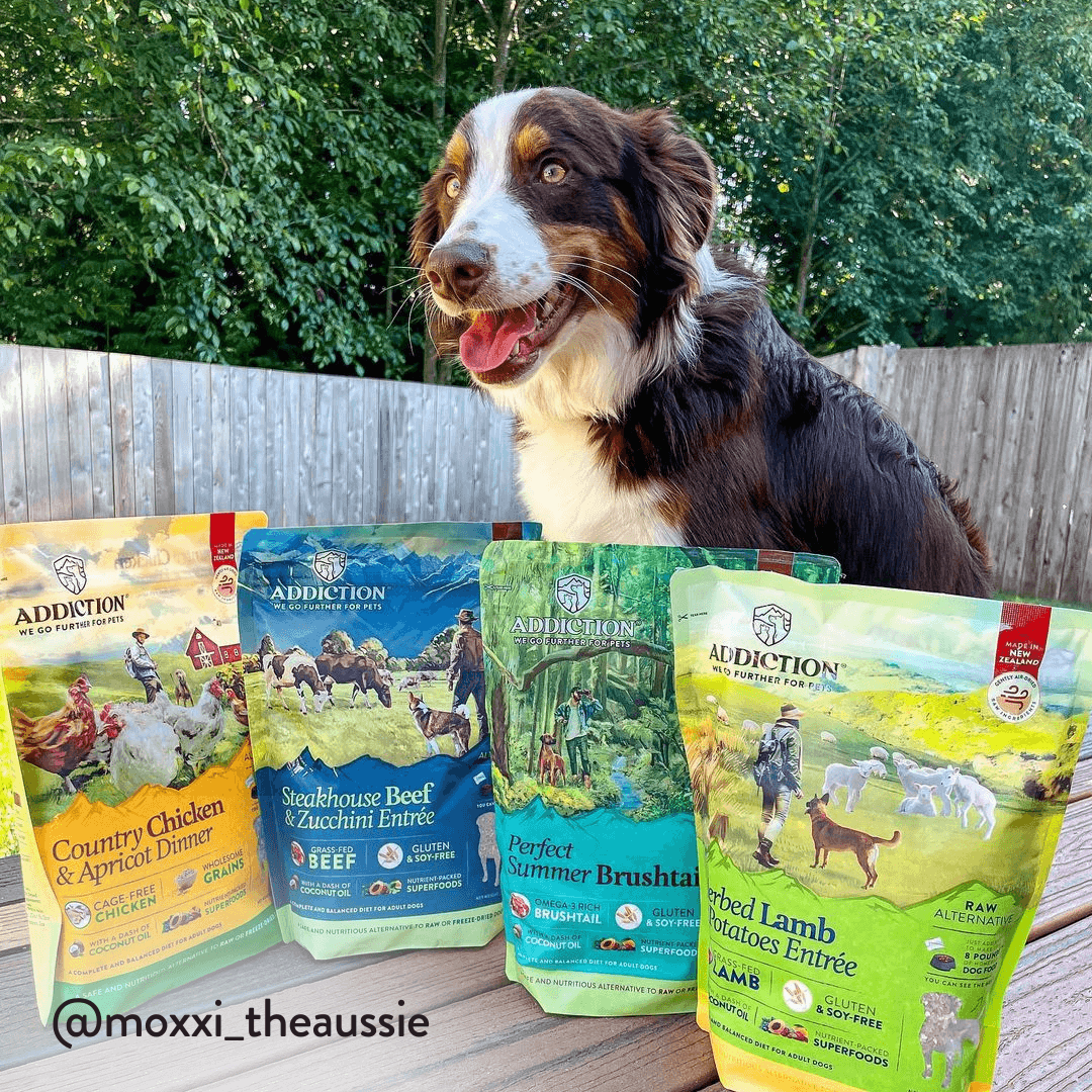 Herbed Lamb & Potatoes Air-Dried Dog Food package, product photo 8 of 15