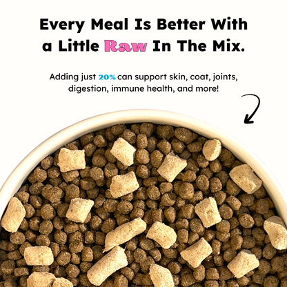 Dog food bowl with kibble and raw dog treats, text about adding raw food to meals.