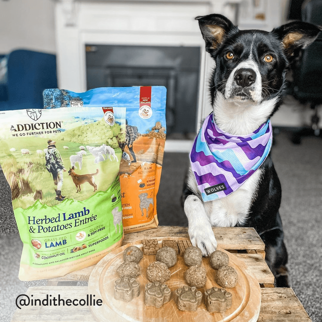 Herbed Lamb & Potatoes Air-Dried Dog Food package, product photo 10 of 15