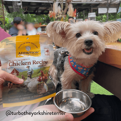 Chicken Meaty Bites Dog Treats package, product photo 13 of 14