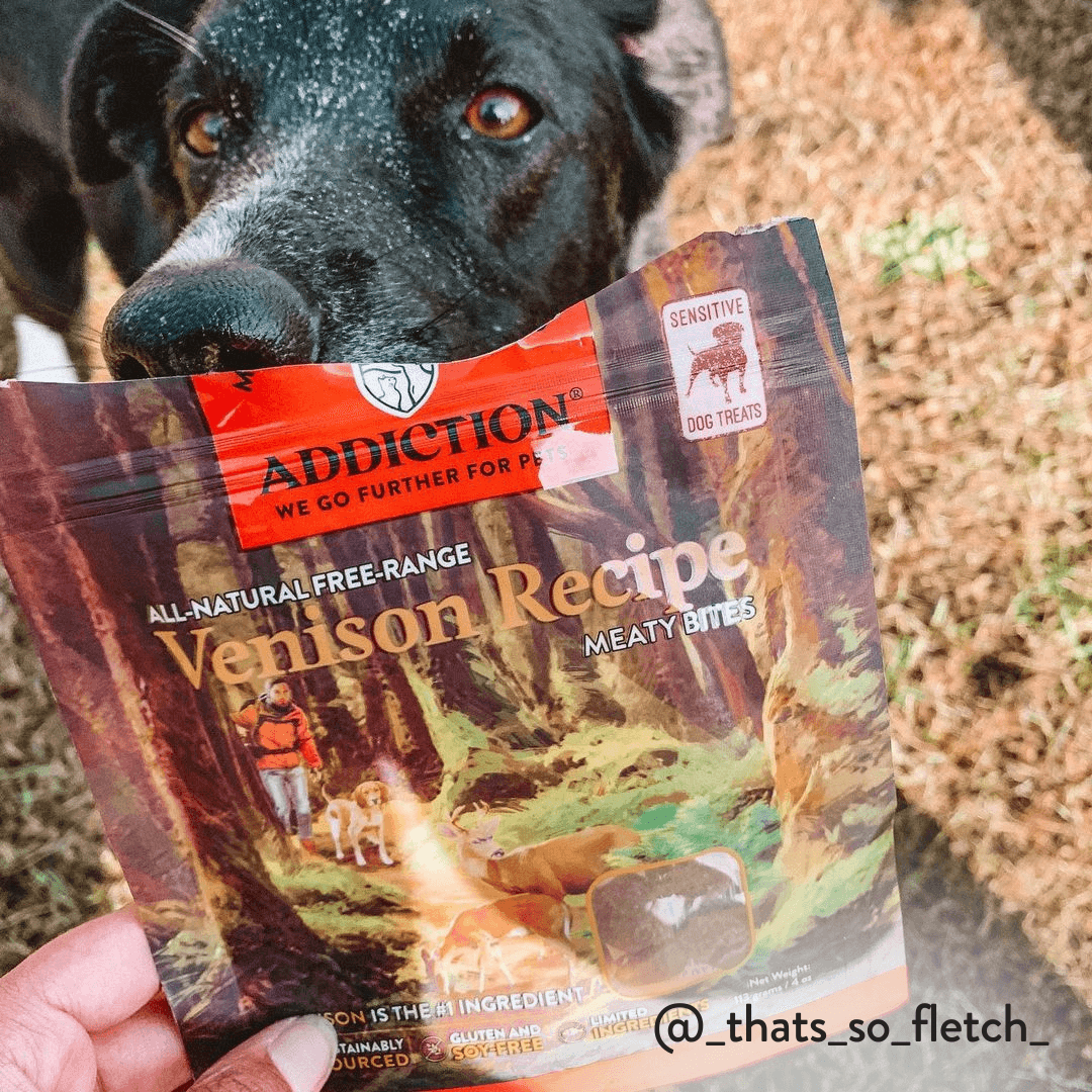 Dog holding a package of Addiction Venison Recipe dog treats.