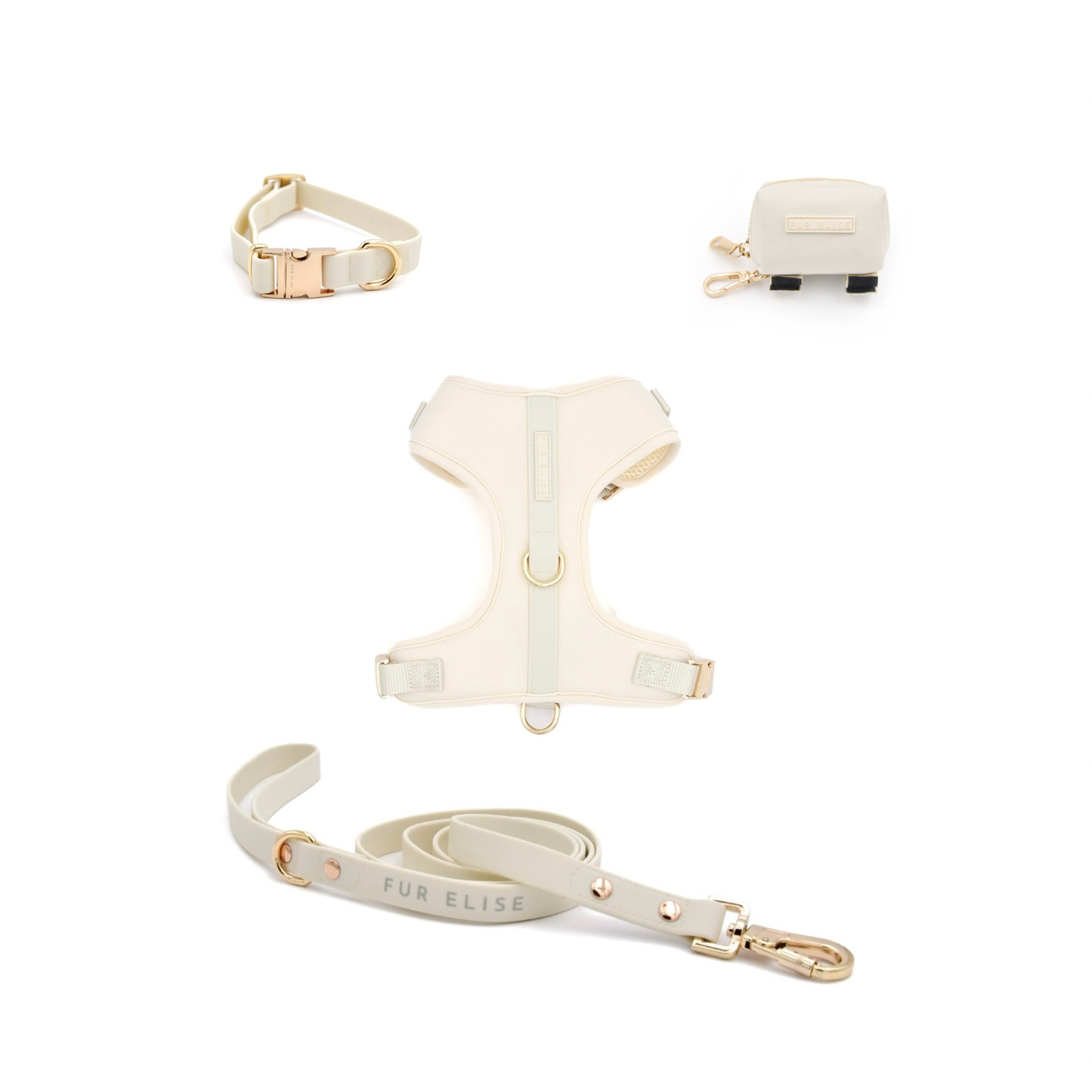 Dog harness, leash, and collar set with gold accents on a white background