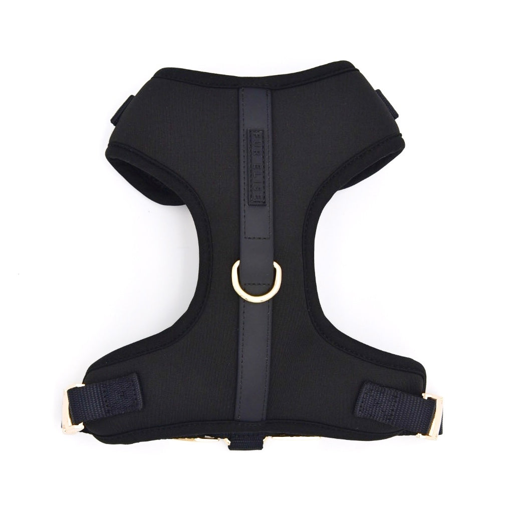 Black dog harness on a white background