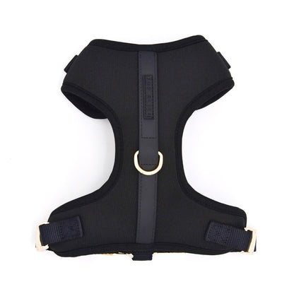 Black dog harness on a white background