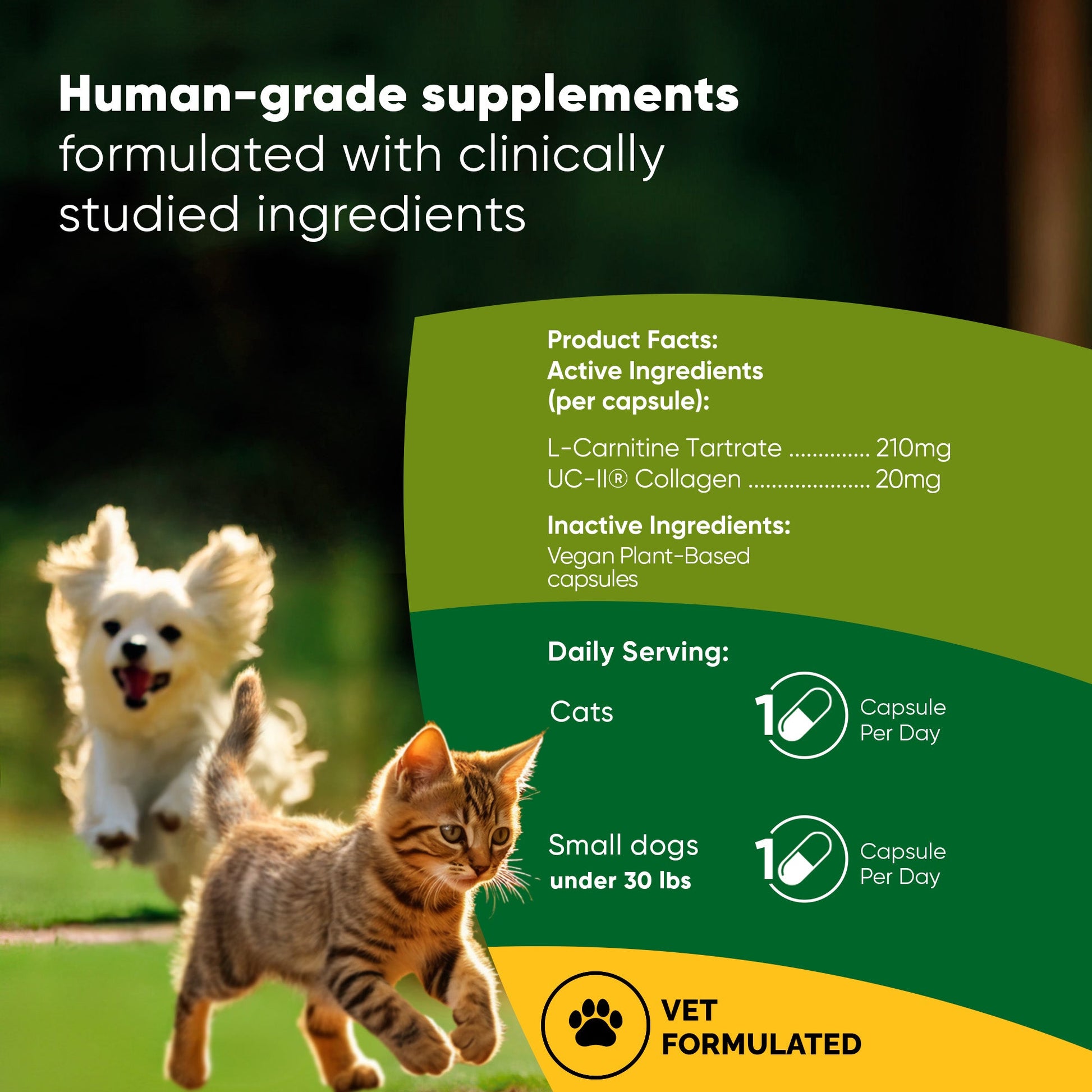 Supplement packaging with a cat and dog running, featuring product facts and daily serving information.