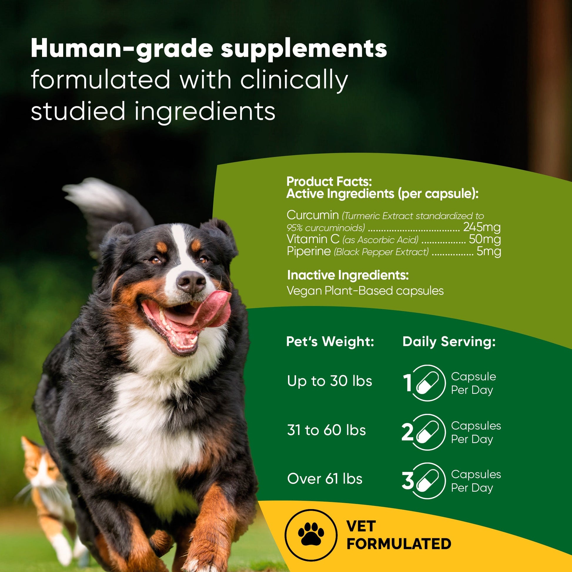 Dog running outdoors with supplement information on a green background