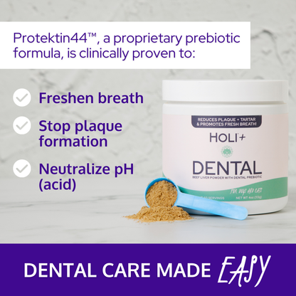 HOLI+ Dental product with text highlighting benefits on a marble background