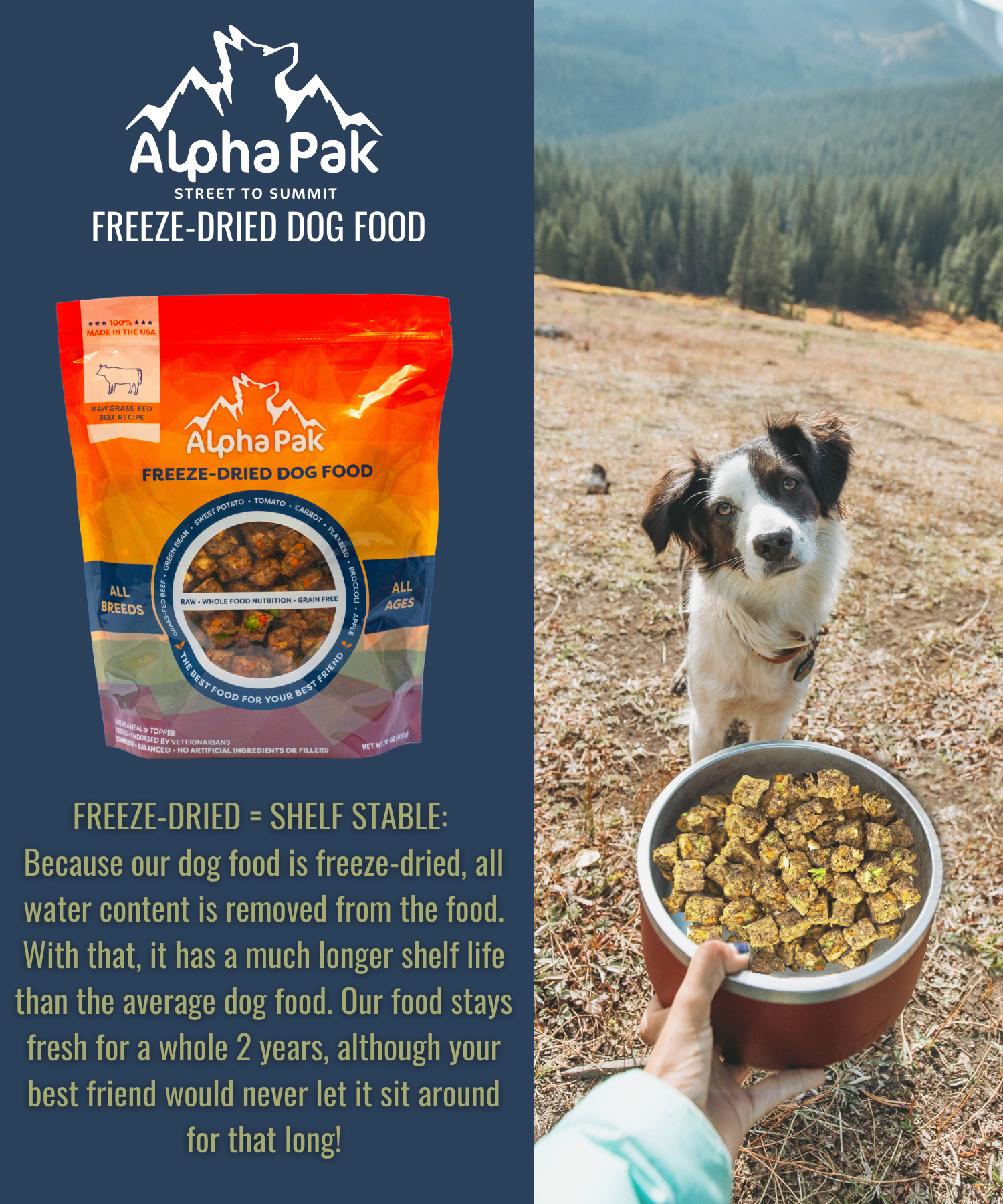 Alpha Pak freeze-dried dog food packaging with a dog eating from a bowl outdoors.