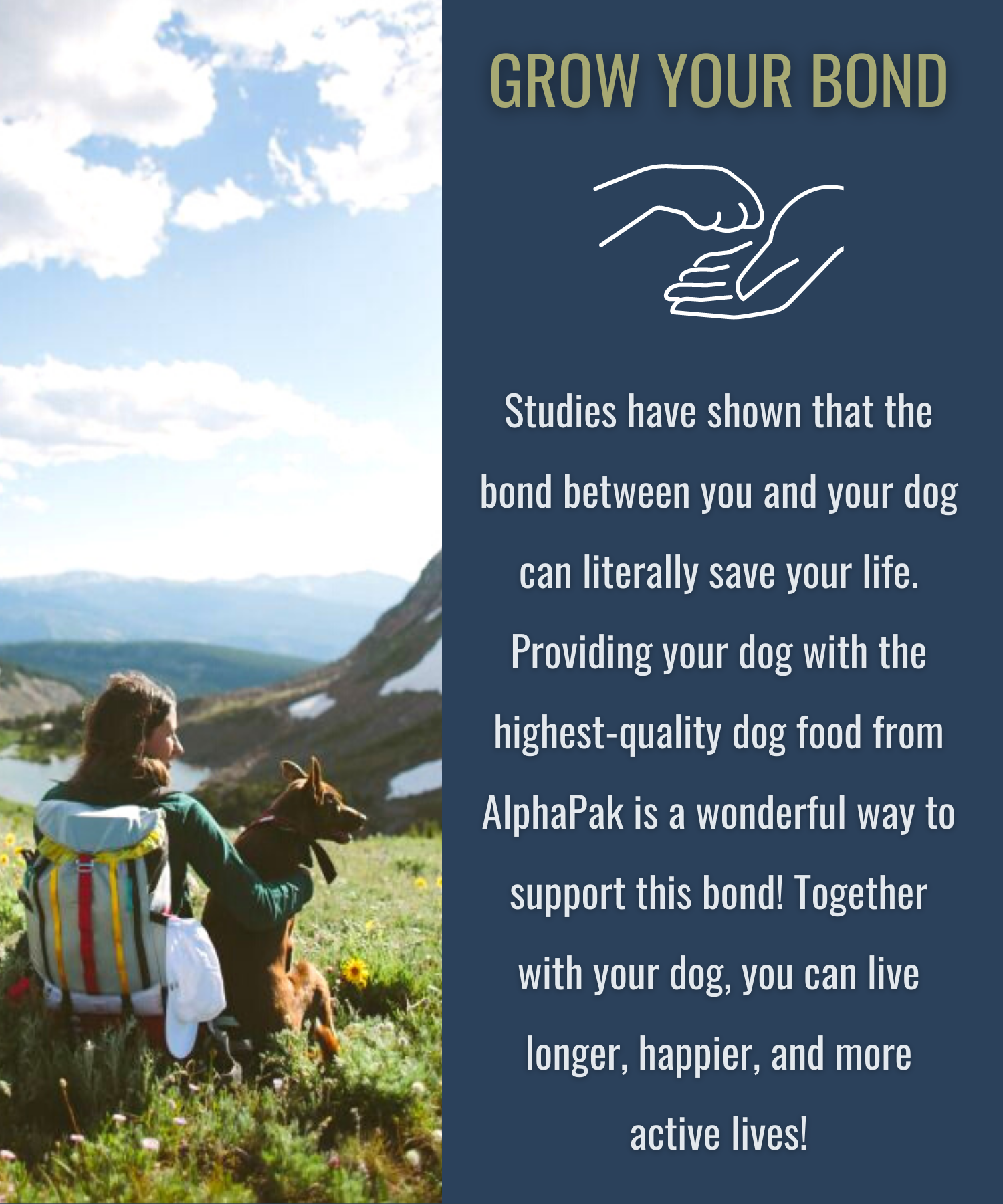 Person and dog sitting in a field with promotional text about AlphaPak dog food on a blue background