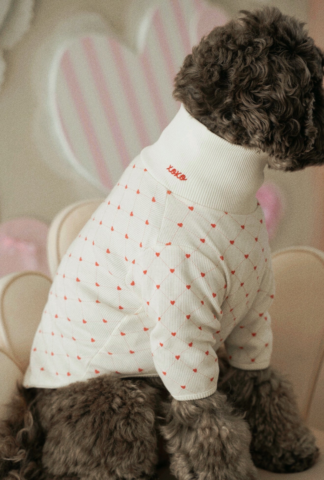 Small dog wearing a white sweater with red heart patterns, sitting on a pink surface.