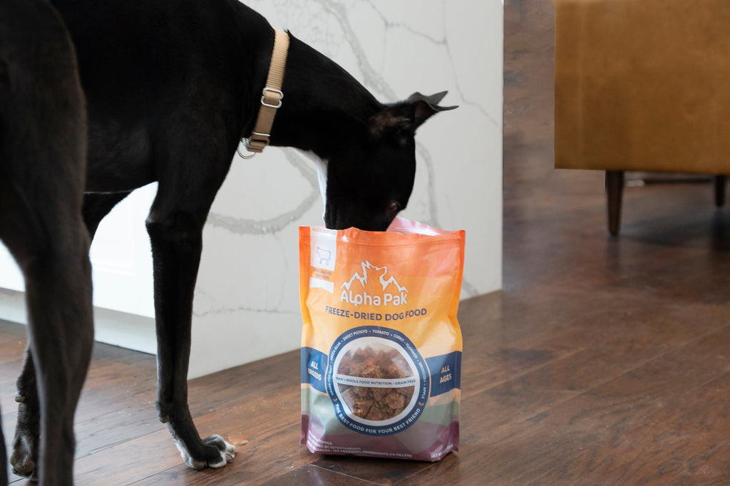 Dog sniffing a bag of Alpha Paw dog food on a wooden floor.