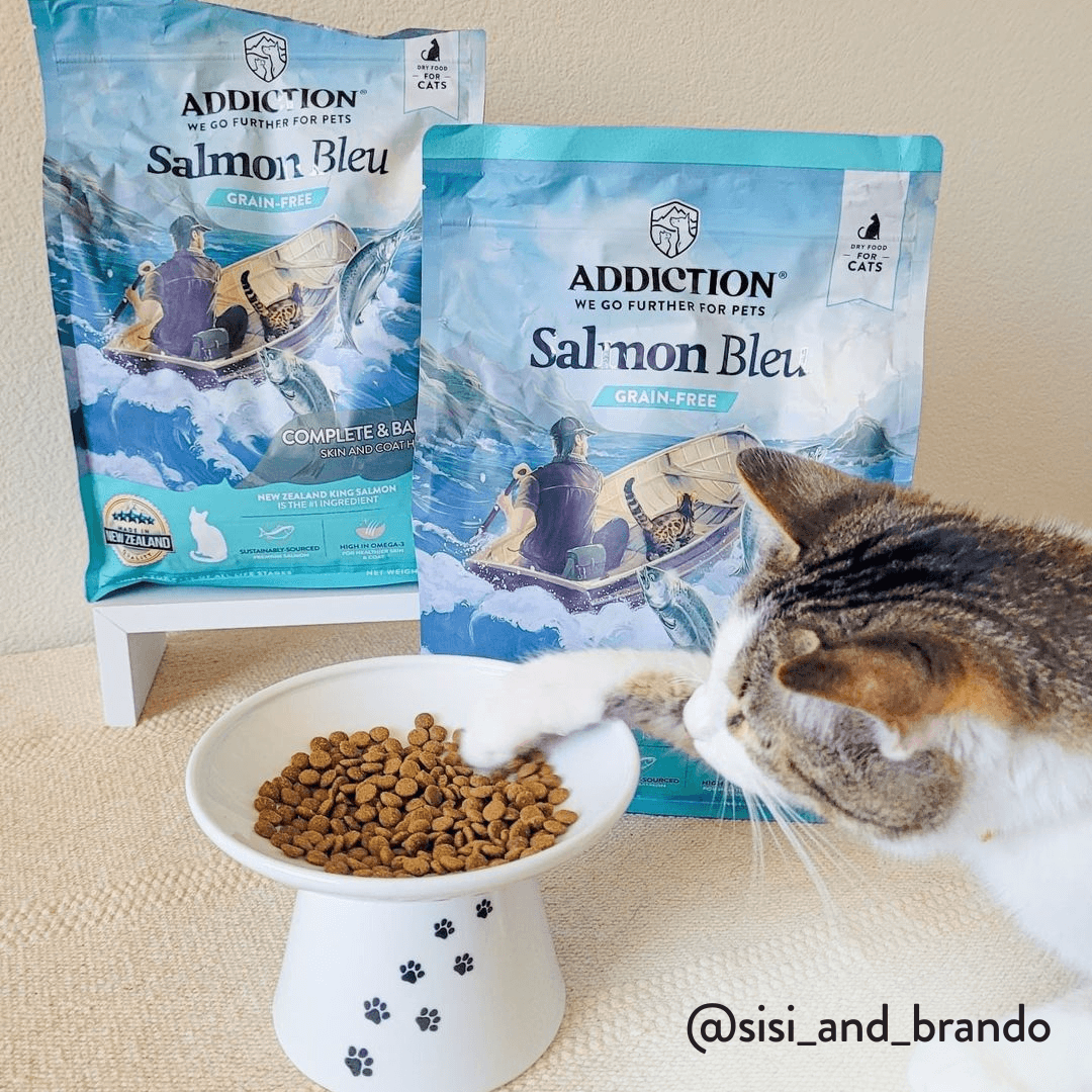Salmon Bleu Dry Cat Food package, product photo 14 of 23