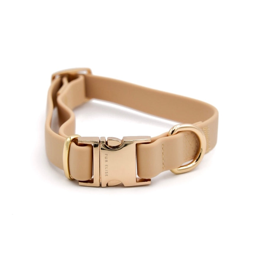 Beige dog collar with gold buckle on a white background
