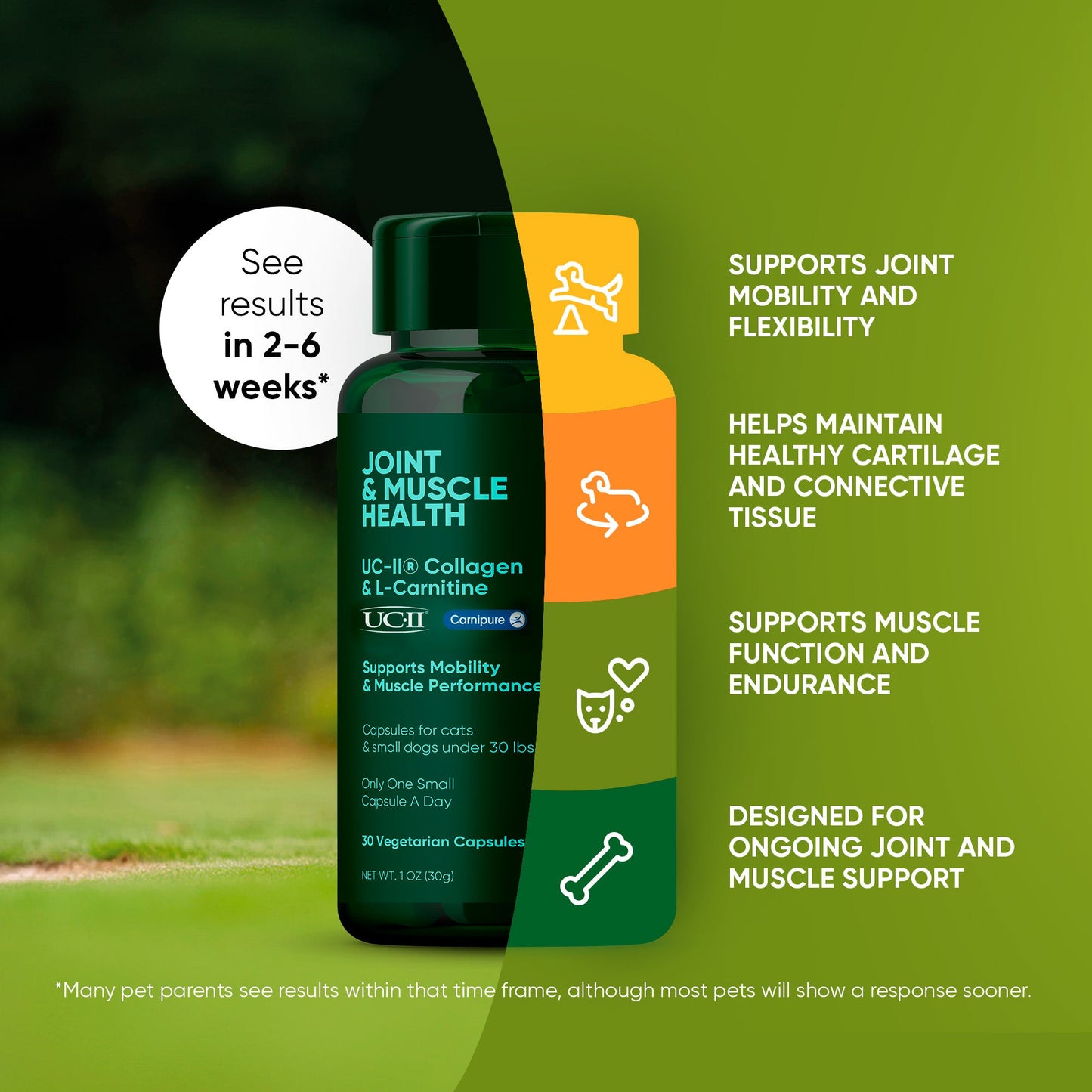 Pet supplement bottle with text on a green background