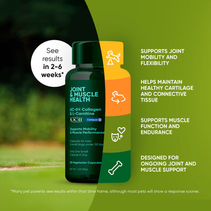 Pet supplement bottle with text on a green background