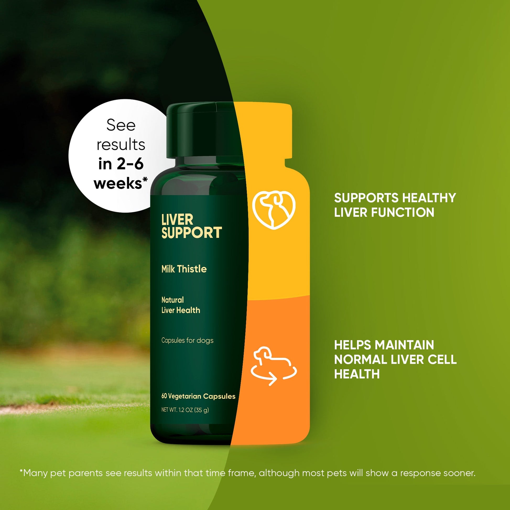 Liver support supplement bottle and packaging on a green background