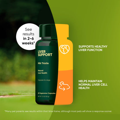 Liver support supplement bottle and packaging on a green background