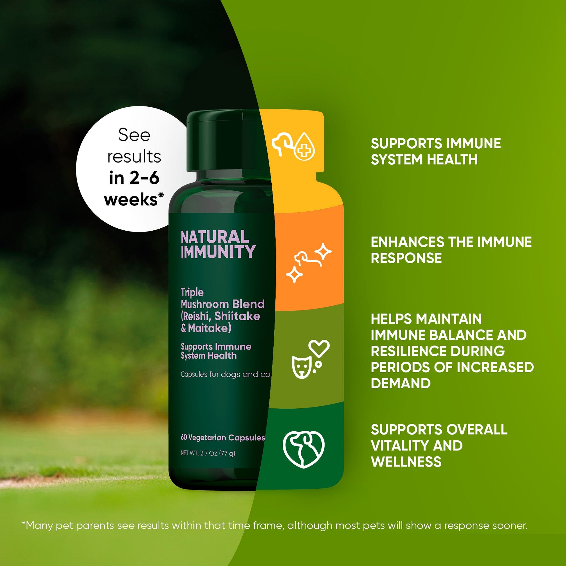 Two supplement bottles labeled 'Natural Immunity' on a green background with text about immune system support.