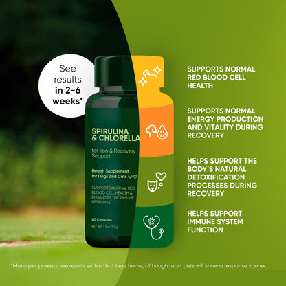 Two supplement bottles with text on a green background
