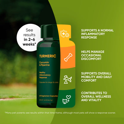 Turmeric supplement bottle with green background and text about its benefits