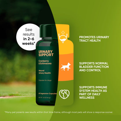 Urinary support supplement bottle with promotional text on a green background
