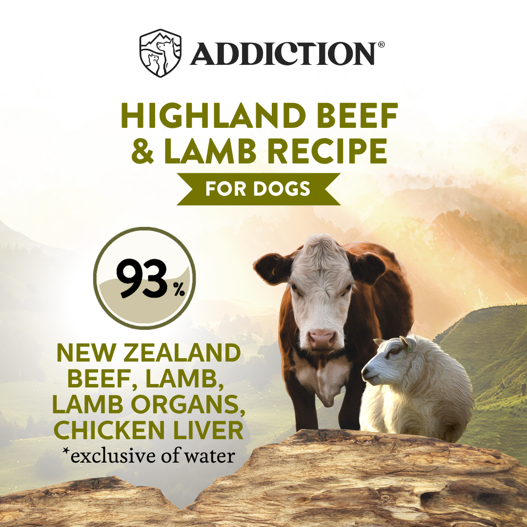Advertisement for Highland Beef & Lamb Recipe dog food with a cow and sheep in a New Zealand landscape.