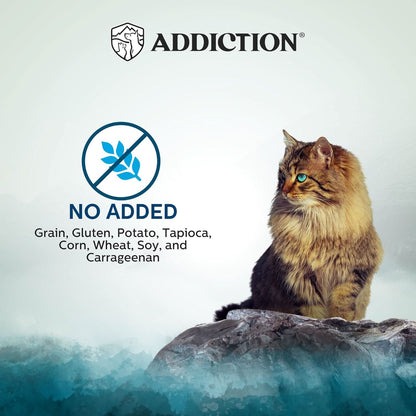 Cat on a rock with 'Addiction' brand logo and text about no added ingredients on a light blue background.