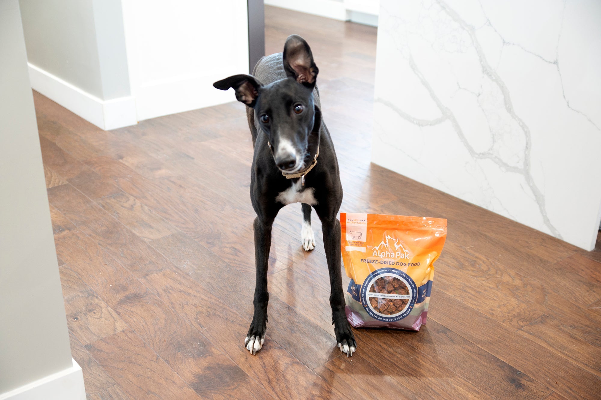 Dog sitting next to a bag of dog food on a wooden floor