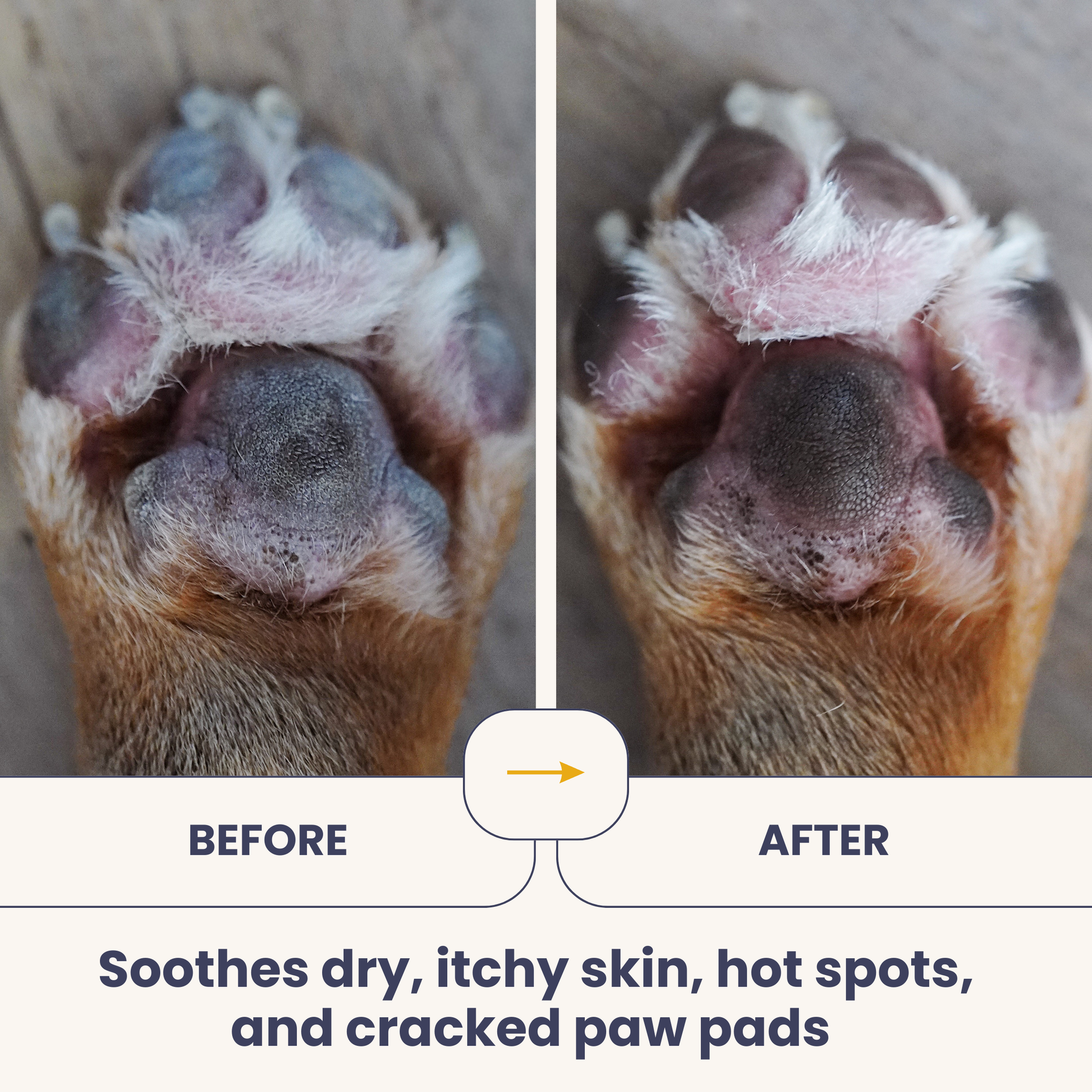 Before and after comparison of a dog's paw pads with text indicating product benefits.