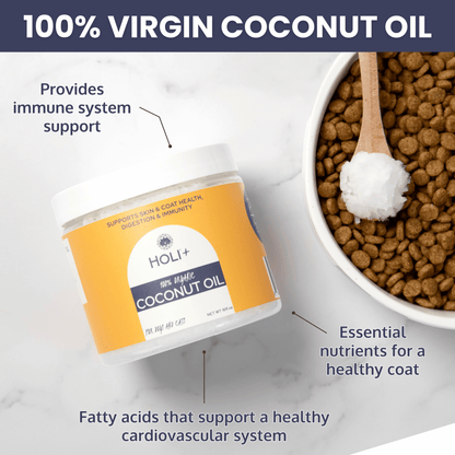HOLI+ coconut oil jar with text highlighting benefits next to a bowl of dog food.