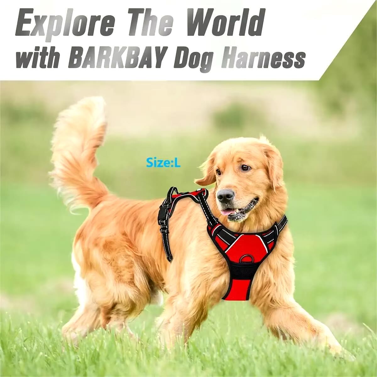 Durable Dog Harness with Safety Buckle – All Sizes