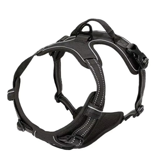 Durable Dog Harness & Leash Set with Safety Buckle – All Sizes